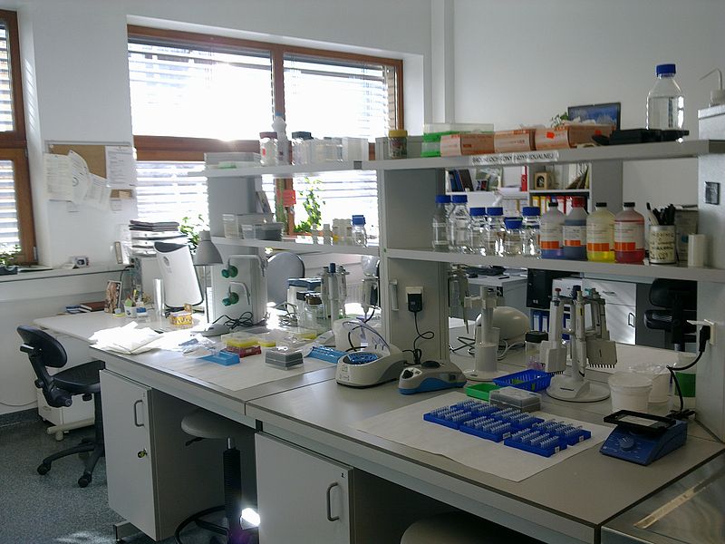 Laboratory